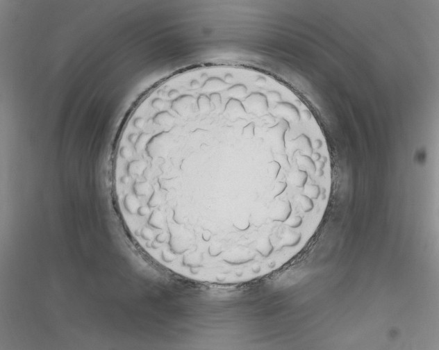 X0000116840848201001291703