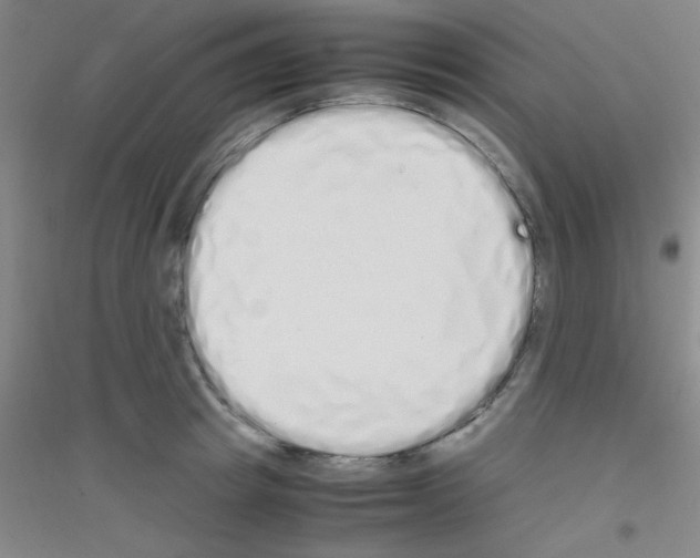 X0000116840849201001291703