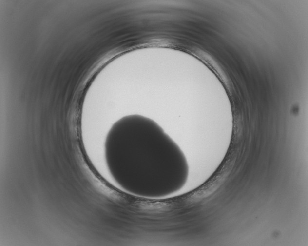 X0000116840851201001291703