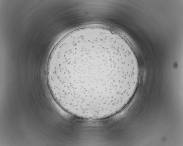 X0000116840852201001291703