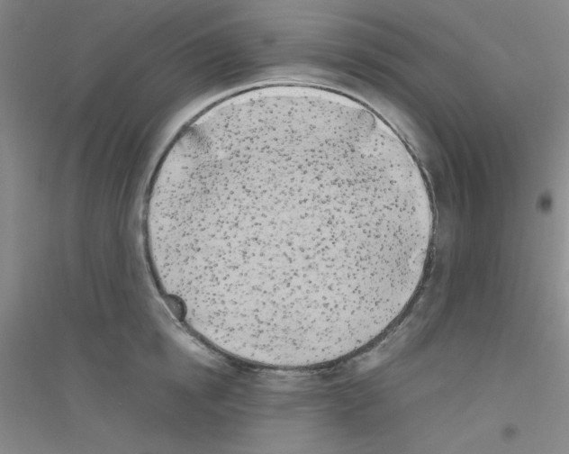 X0000116840854201001291703