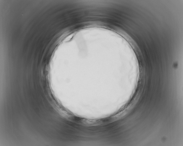 X0000116840857201001291703