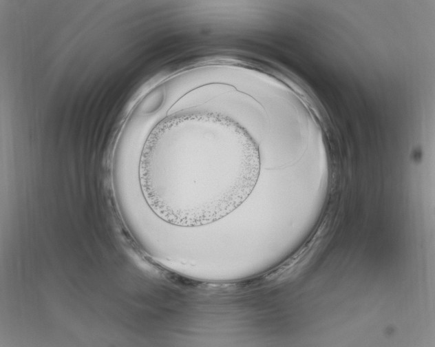 X0000116840858201001291703
