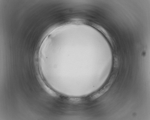 X0000116840859201001291703