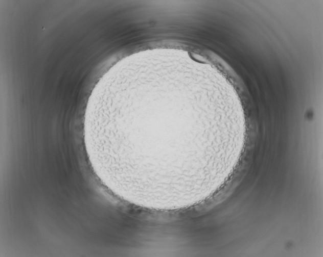 X0000116840860201001291703