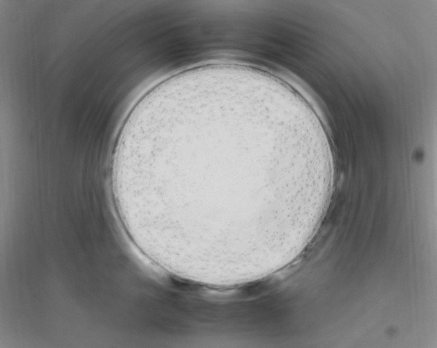 X0000116840861201001291703