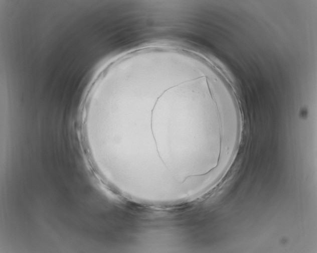X0000116840862201001291703