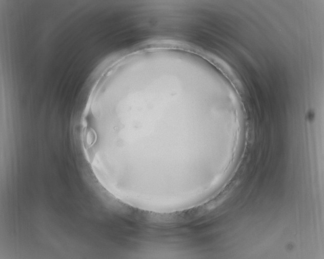 X0000116840863201001291703