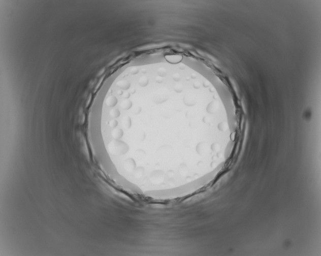 X0000116840865201001291702