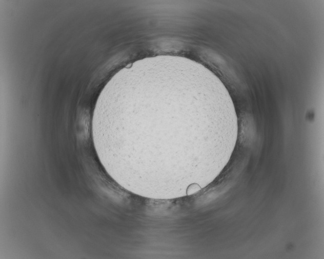 X0000116840866201001291702