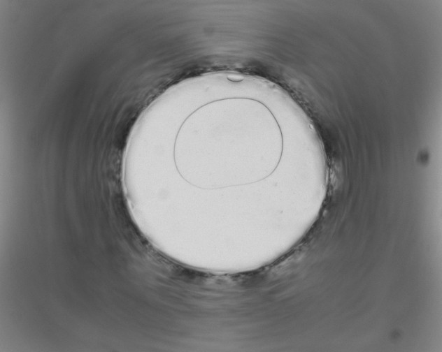 X0000116840867201001291702
