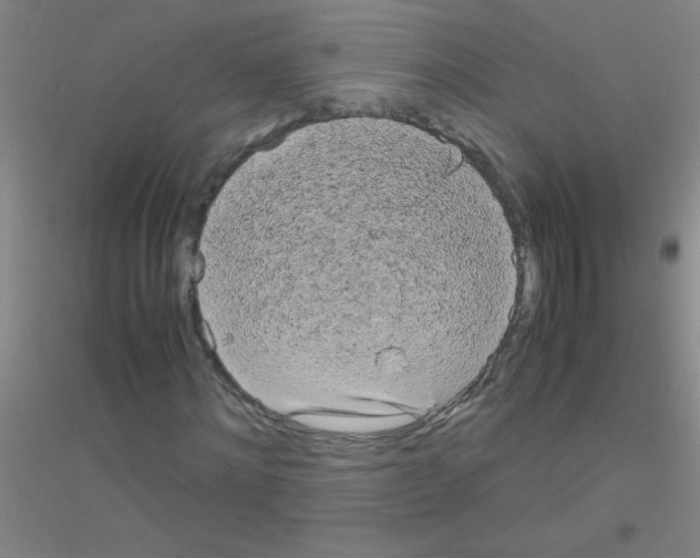 X0000116840868201001291702