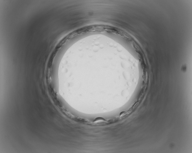 X0000116840869201001291702