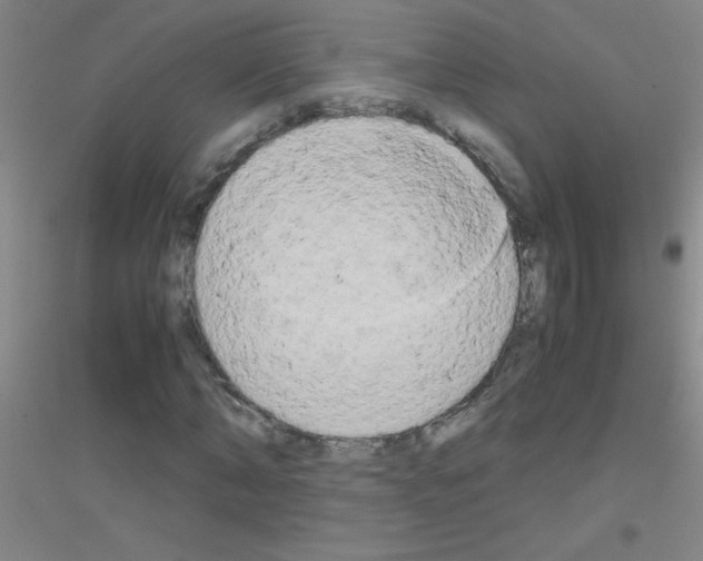 X0000116840870201001291702