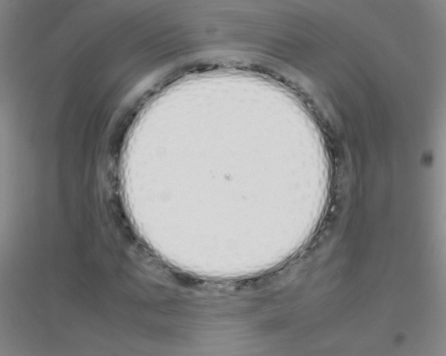X0000116840871201001291702