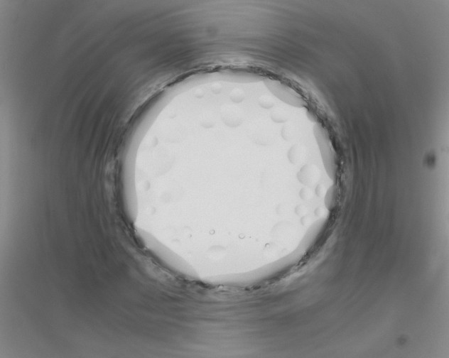 X0000116840873201001291702