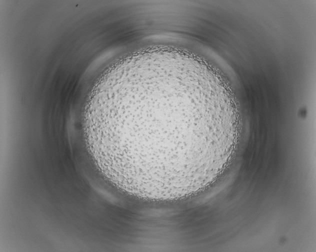 X0000116840874201001291702