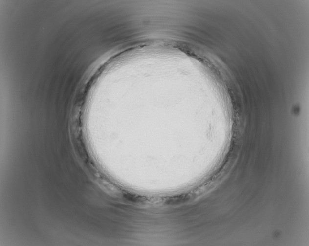 X0000116840875201001291702