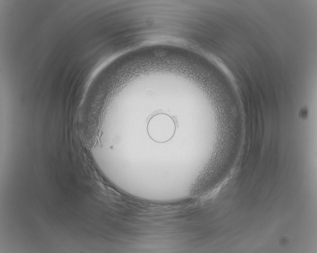 X0000116840877201001291702