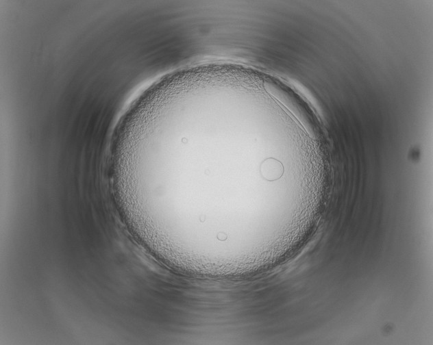 X0000116840878201001291702