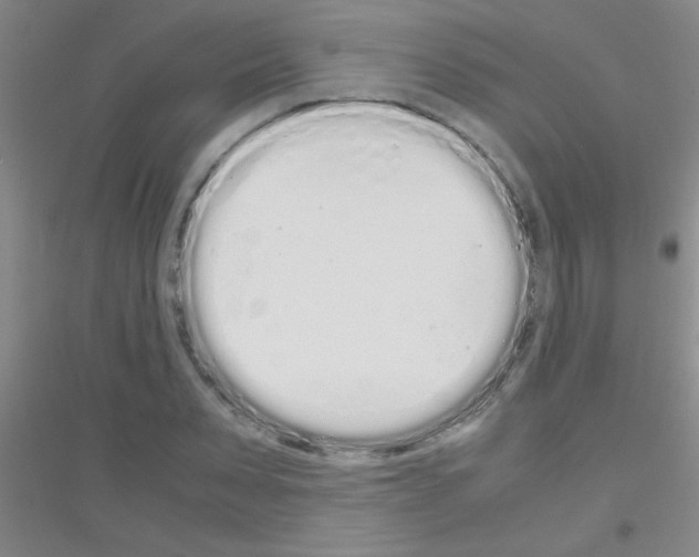 X0000116840879201001291702