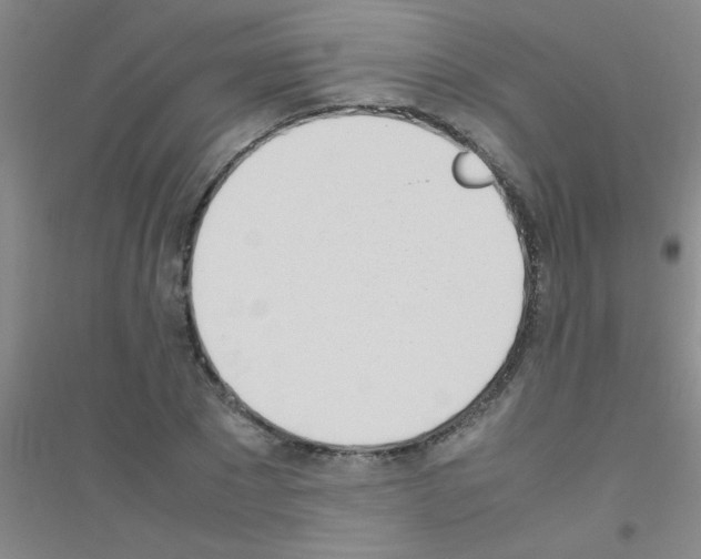 X0000116840881201001291702