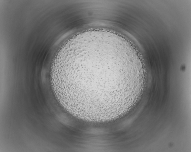 X0000116840882201001291702