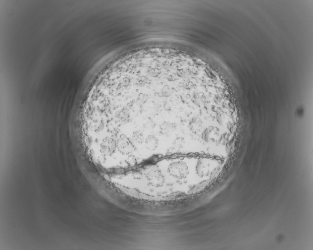 X0000116840883201001291702