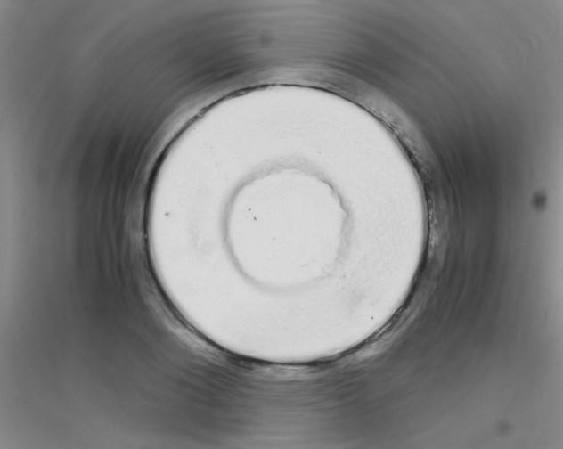 X0000116840884201001291702