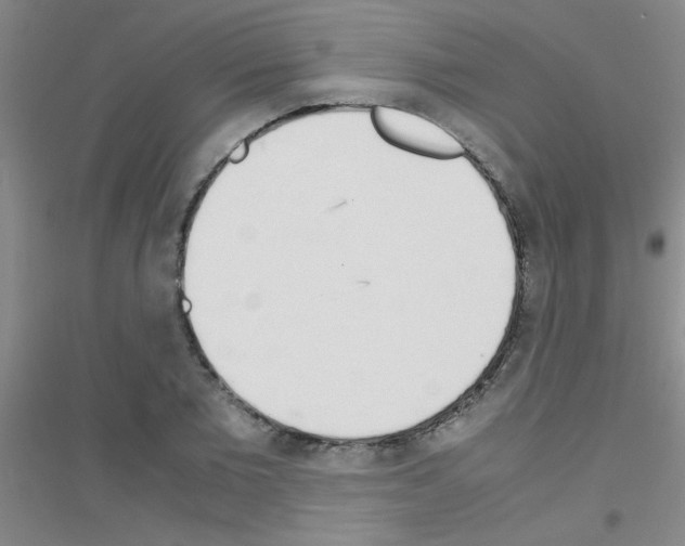 X0000116840885201001291702