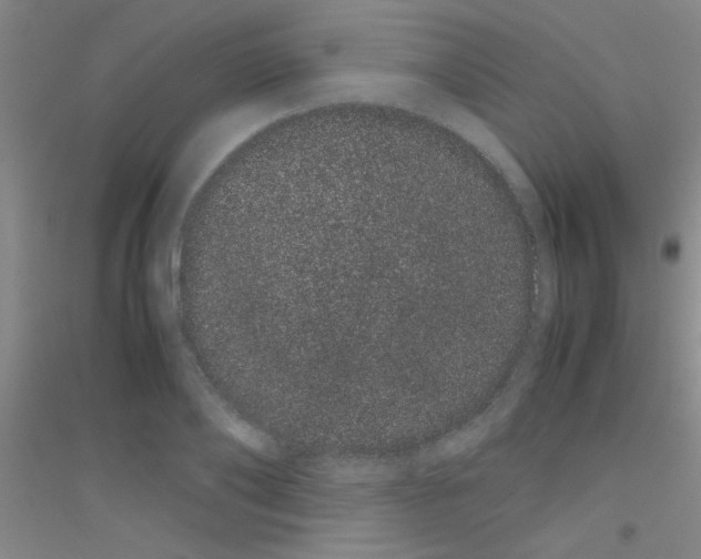 X0000116840886201001291702