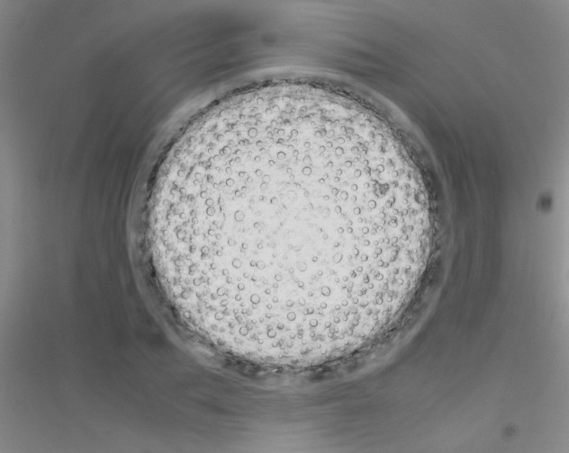 X0000116840887201001291702