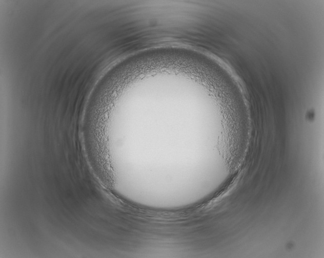 X0000116840889201001291702