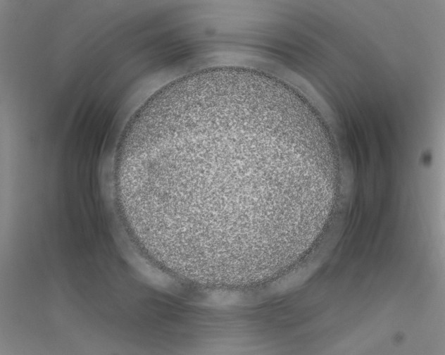 X0000116840890201001291702