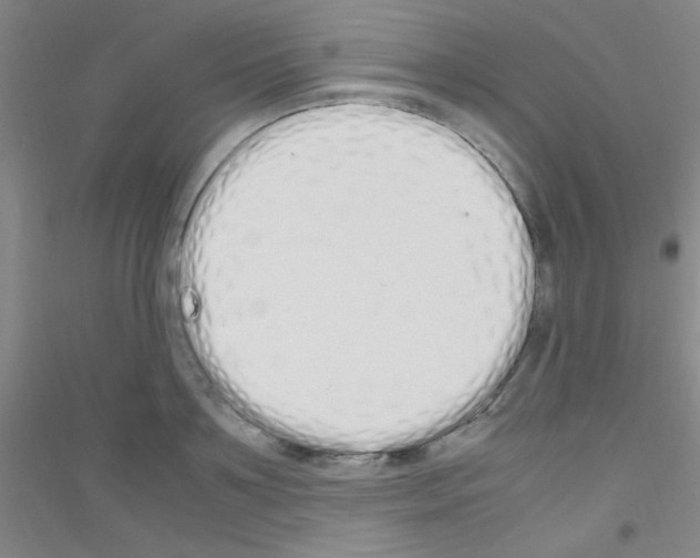 X0000116840891201001291702