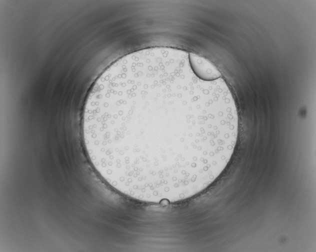 X0000116840898201001291702