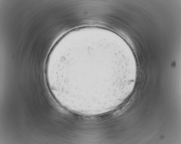 X0000116840899201001291702