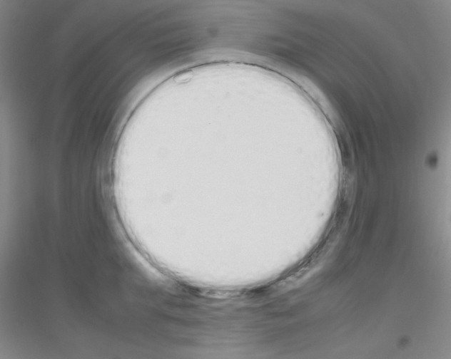 X0000116840903201001291702