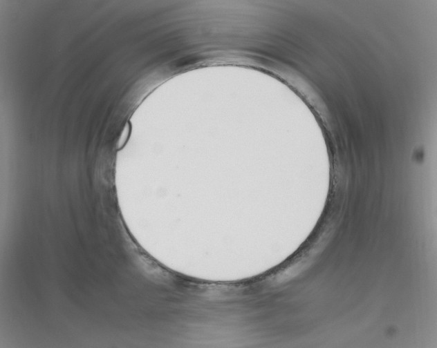 X0000116840905201001291702