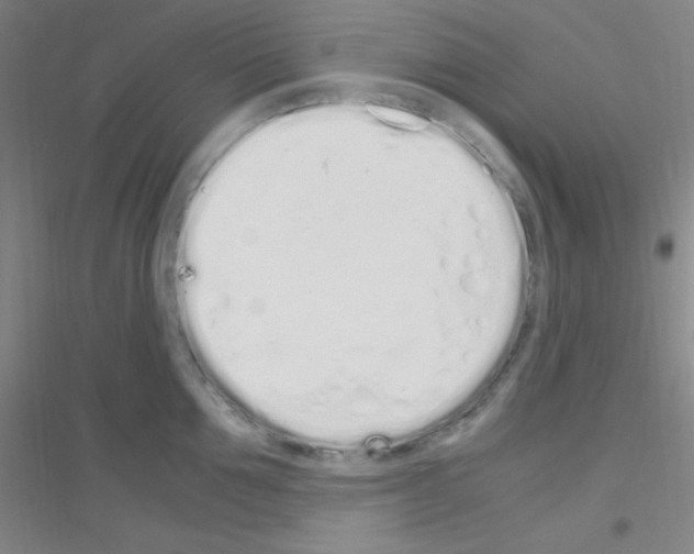 X0000116840907201001291702