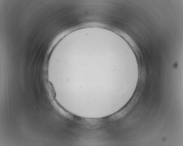 X0000116840910201001291702