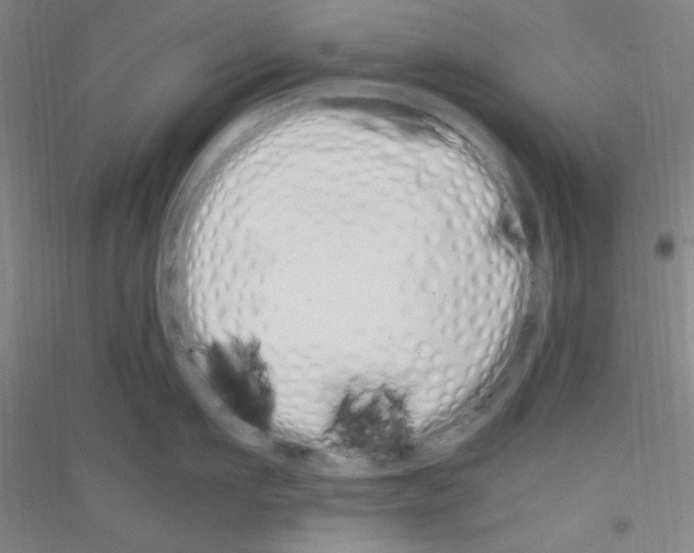 X0000116840911201001291702