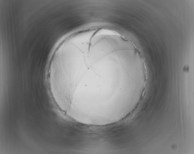 X0000116840912201001291702