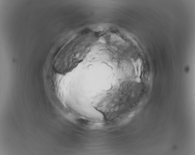 X0000116840913201001291701