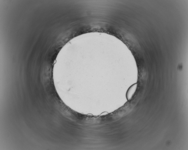 X0000116840914201001291701
