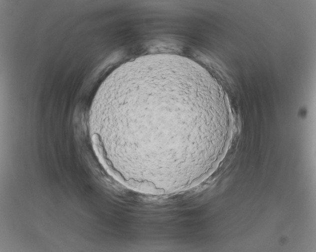 X0000116840915201001291701
