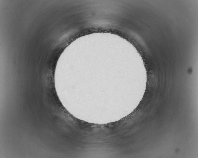 X0000116840918201001291701