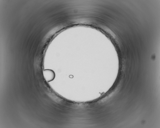 X0000116840922201001291701