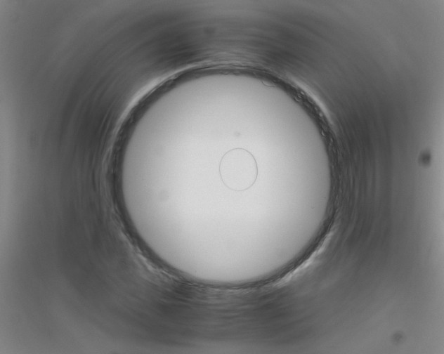 X0000116840925201001291701