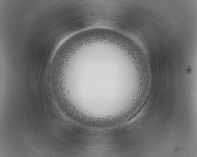 X0000116840926201001291701